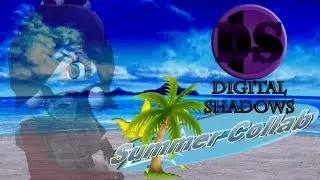 The Digital Shadows Summer Collab