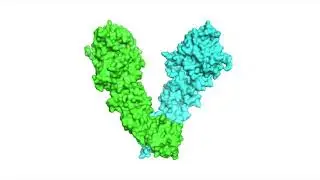Hsp90 ATPase cycle animation
