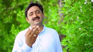 New song shabeer Hadai jhomarr Pal do Pal di --