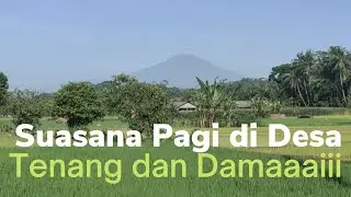 SUASANA PAGI DI DESA JOHO YANG TENANG DAN DAMAI