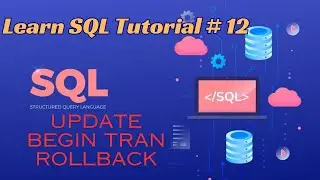 Learn SQL - UPDATE | TRANSACTION | INSERT INTO | Tutorial 12