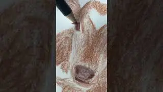 drawing a cow in my sketchbook | cute animal colored pencil sketch