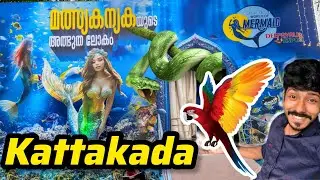 Kattakada Mermaid show + Snake + birds + iguana / Kattakada Trending now Bus stand opposite Rkn hall