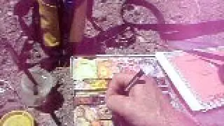 Drawing Native Plants in the Desert - 