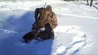 @ Finger Lakes Exotic Farm Ram Hunt