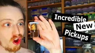 Entocon Pick Ups & INCREDIBLE SURPRISE! You NEED to see this Tarantula!