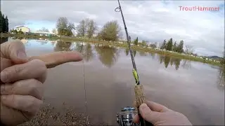 Fishing for Brood Trout With Ultralight Gear