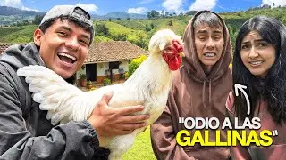 REGAL&Eacute; una GALLINA a CRIS y ALISSON en su NUEVA CASA! 🐓🏠
