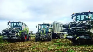 ETA JAHU a l'ensilage de maïs 🌽