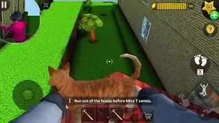 My Scary Teacher 3D: Real Life Cat Escape Challenge!