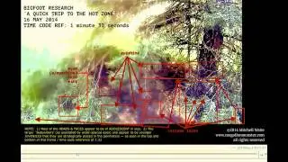 BIGFOOT - Post Field Intelligence Frame-Outs from 'BIGFOOT RESEARCH'