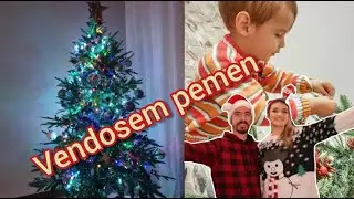 Vendosem pemen dhe zbukurojme shtepine *me ne fund* ||Vlogmas | Roala