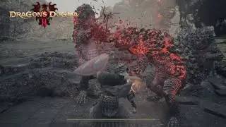 Fighter Solo | Surrounded by Magmascales | Parry After Parry | Inferno Battle[Dragon's Dogma 2]