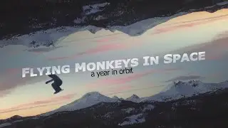 FLYING MONKEYS IN SPACE: A Year in Orbit [Short Film]