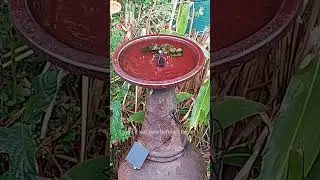 #my #fail at a water feature , Jez said reminds her of an ex #love the #comment Jez