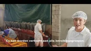 Stage vlog: Lars & Niek op de Doksenclub in Suriname