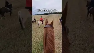 🙈🙈🙈 #equestrian #horse #pony #horseriding #rider #galop #canter #fast #running #horses