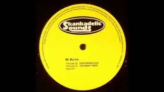 Mr. Burns - Too Many Trips (Acid Techno 2003)