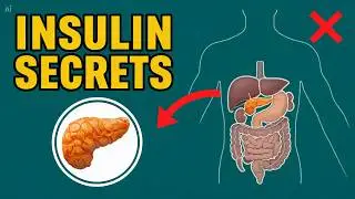 Diabetes Explained: Symptoms, Insulin Secrets, Prevention & Future Cure Tech