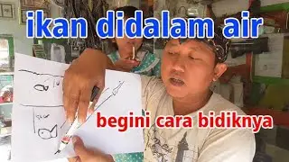 Cara bidik ikan di dalam air - tutorial Paser ikan