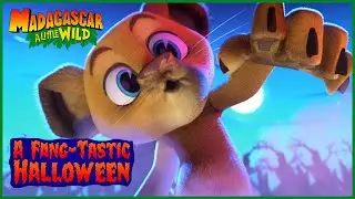 Scary Fun Fright Fest | MADAGASCAR A LITTLE WILD
