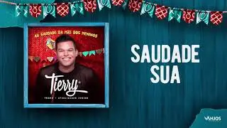 TIERRY. Apaixonado N&atilde;o Pensa  &Aacute;udio Oficial ❤️