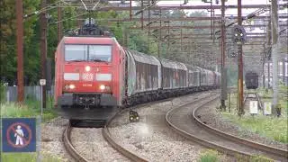 DB EG3109 med blandet godstog