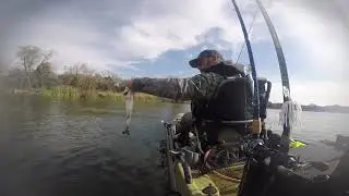 New Years 2019 Bass Fishing #trainwreckcatch #5lbers #thankgoodnessforbraid