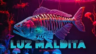 LUZ MALDITA 🌒 | Psychedelic Latin Reggaet&oacute;n &ndash; Reversed Dembow x Flamenco Guitar x Tribal Jungle FX