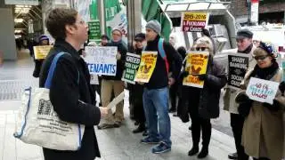 Bad Banks, Bad Loans
