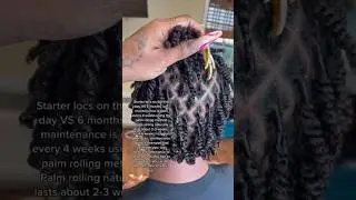 First day starter locs VS. 6 months in #shorts #hairtips #naturalhair