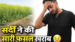 सर्दी ने की सारी फसल ख़राब 😱🫩#viral #vlog #lifewithrmydv #familyvlog 