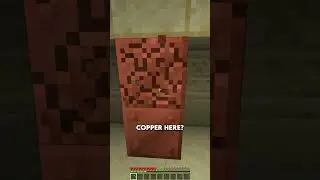 Minecraft BUT THERE'S A SECRET STASH! #minecraft