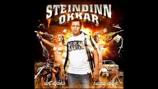 Ge&eth;veikt f&iacute;nn gaur - KARAOKE - Steindinn okkar