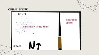 Solve of a Crime Scene Burglary