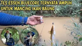 TES ESSEN BLUECORE SUPER STRIKE TERNYATA AMPUH UNTUK MANCING BAUNG