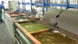 Фабрика IB Rubinetti по производству смесителей и душевых систем (Италия). Участок хромирования
