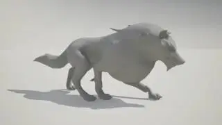 Child No More Wolf Animations