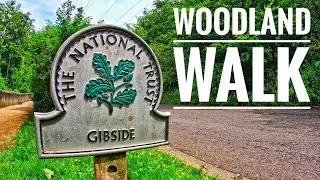 Gibside | National Trust | Nature Walk