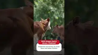 Not your average beef delivery&hellip;⁠
