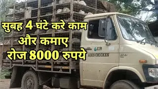 Murgi Supply,Broiler Supplier Business, poultry Businese