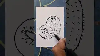 kiwi fruit drawing,  kiwi drawing,  fruit drawing,  how to draw a kiwi