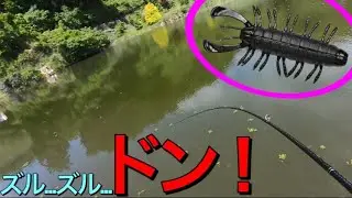【SVSBBIG】新アイテム投げ込んだら秒で釣れた！