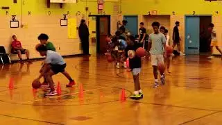 New York WIZ KIDS