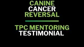 Canine Cancer Reversal & TPC Mentoring Testimonial (Rowan Sanderson)