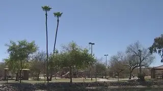 Allergy season in full swing in Arizona, doctors say | FOX 10 News