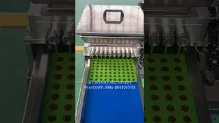 Chocolate Depositor & Pouring Machine: See It Craft Both Chocolate & Candies #candymachine