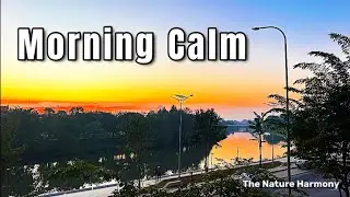 Calm Morning by the River 🌿 Relaxing Music for Stress Relief