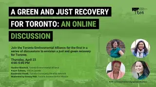 Toward a Green and Just Recovery: An Online Panel Discussion