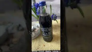 Syverkiosken: pretty amazing hotdog place in Oslo with local recipes and Norwegian T&oslash;yen Cola!